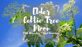 Celtic Elder Tree Moon