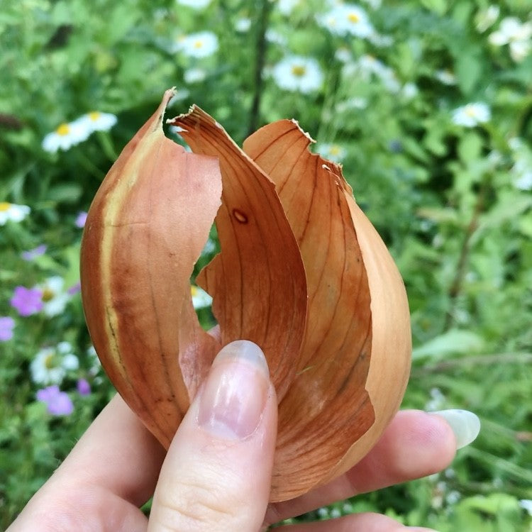 5 Ways To Use Onion Peel In Witchcraft Zero Waste Magick Witchbox 5-ways-to-use-onion-peel-in-witchcraft-zero-waste-magick-witchbox