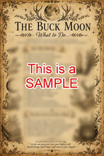 Load image into Gallery viewer, Buck Moon Information Sheets (2xPDFs)