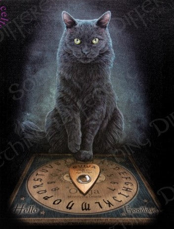 Black Cat Canvas