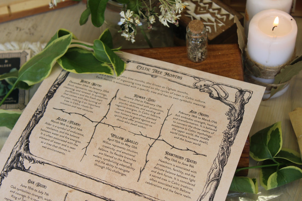 Celtic Tree Months Book of Shadows Page